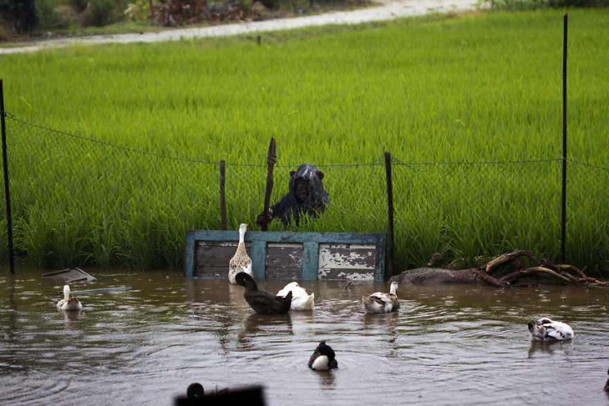 I Used My Star Wars Toys To Recreate Scenes From Various Movies