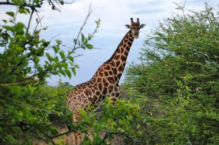 We Got Lost In Namibia