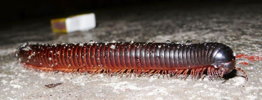 We Got Lost In Namibia