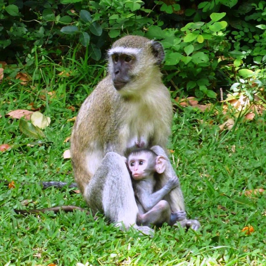 We Got Lost In Namibia