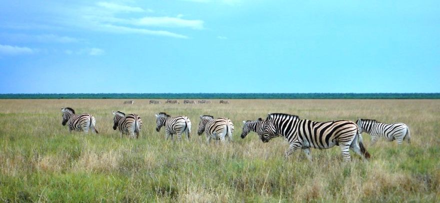 We Got Lost In Namibia