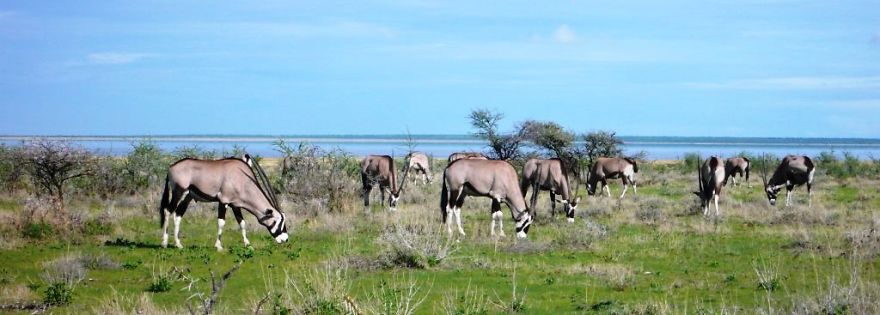 We Got Lost In Namibia