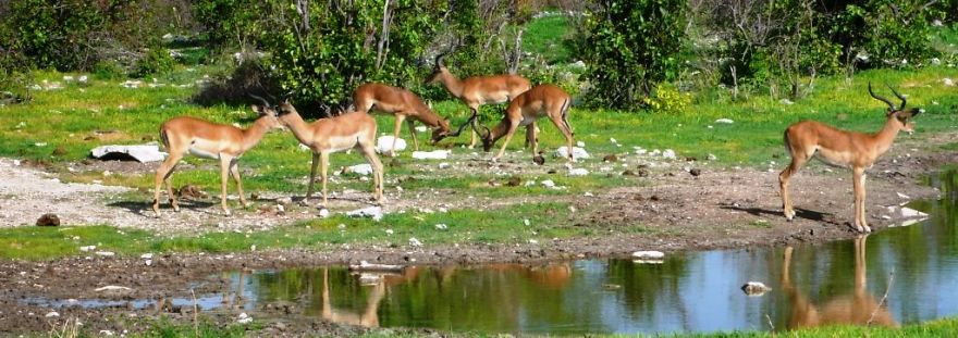 We Got Lost In Namibia