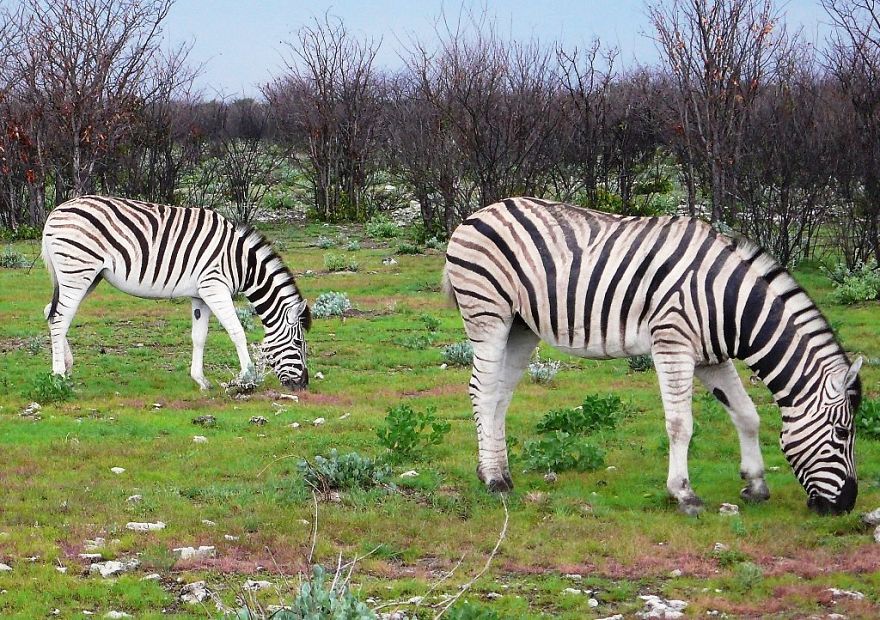 We Got Lost In Namibia