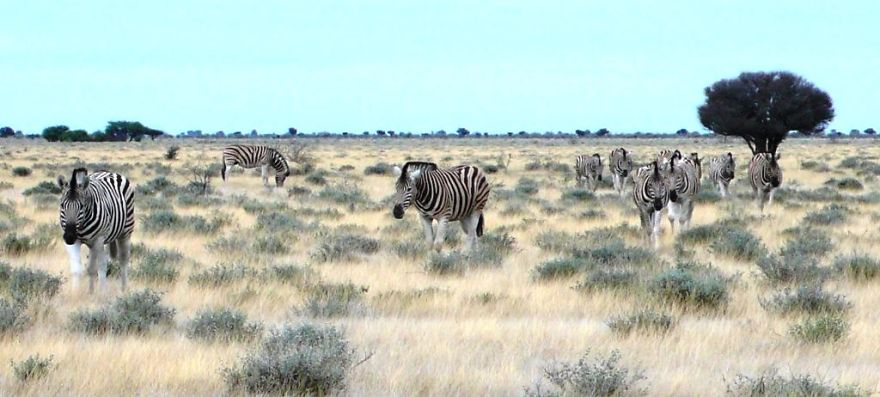 We Got Lost In Namibia