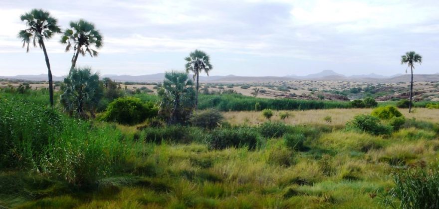 We Got Lost In Namibia