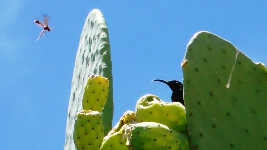 We Got Lost In Namibia
