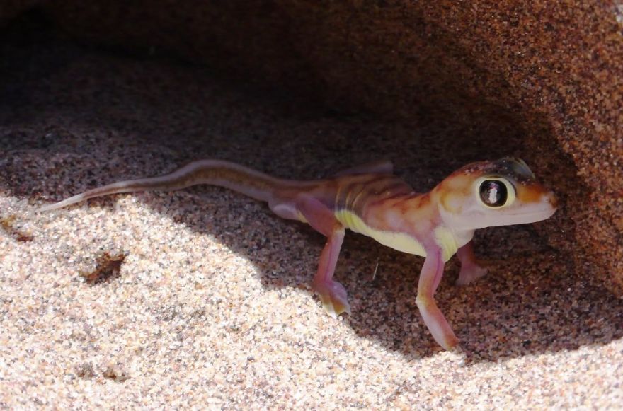 We Got Lost In Namibia