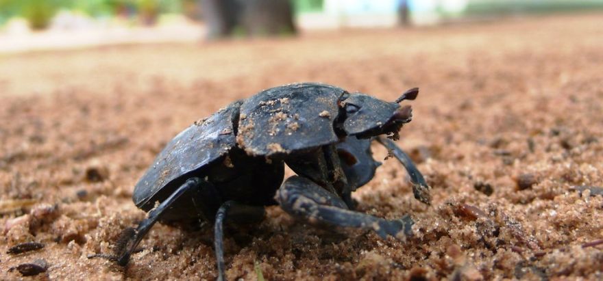 We Got Lost In Namibia