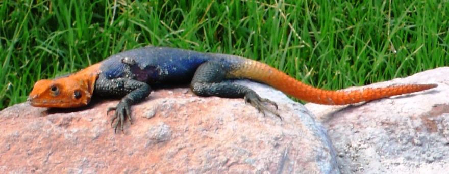 We Got Lost In Namibia