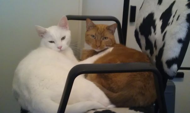 Keeping Eachother Warm