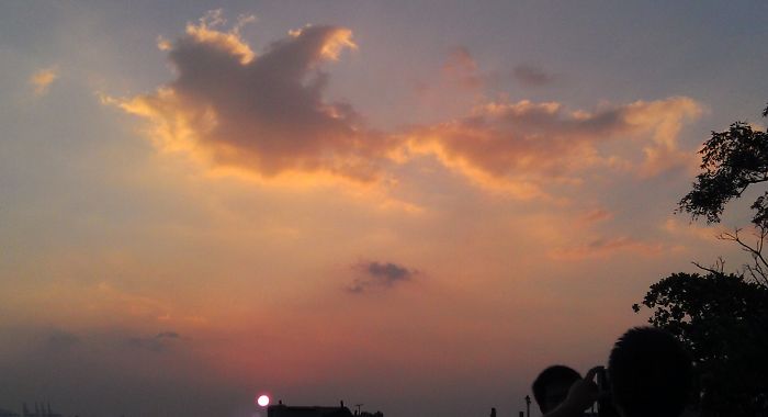 Giant Bird On Sunset