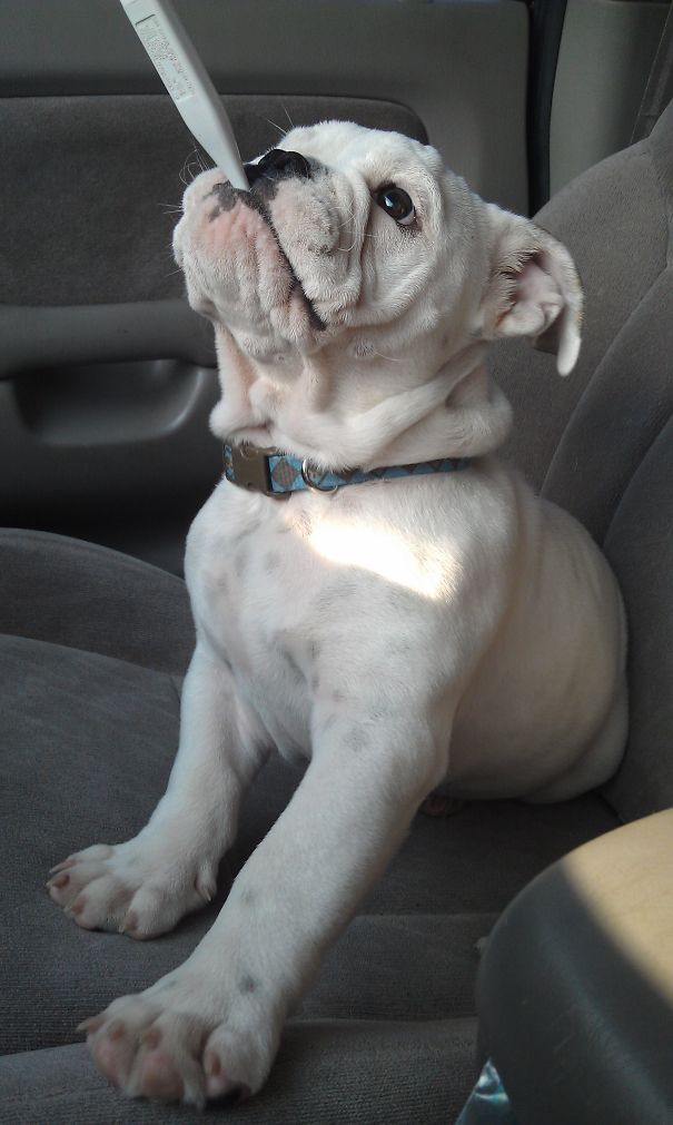 I Think I'm Sick Today