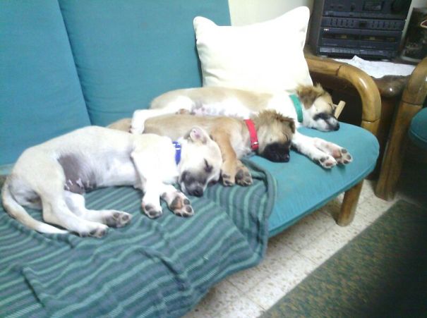 Best Brothers And Sister