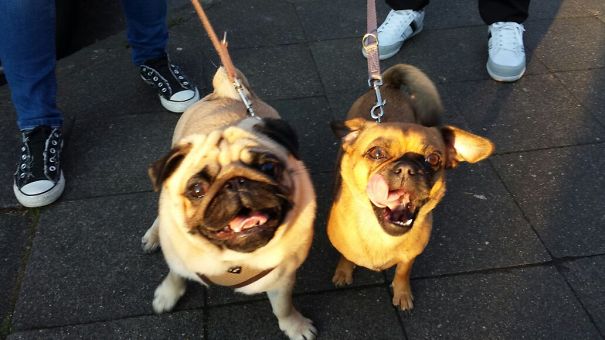 Nike&blümchen:happy Friends