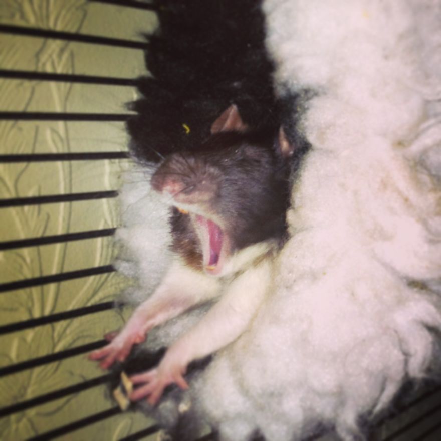 We've All Felt Like This....