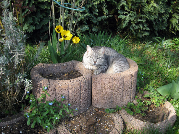 What's Growing Here?