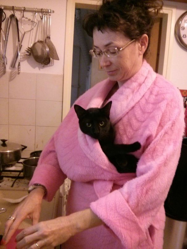 When The Cat Insists On Cuddling And I Have To Make Breakfast