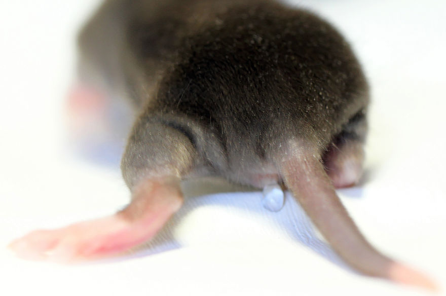 Buddy Can't Wait ! ©olivierbernacchi