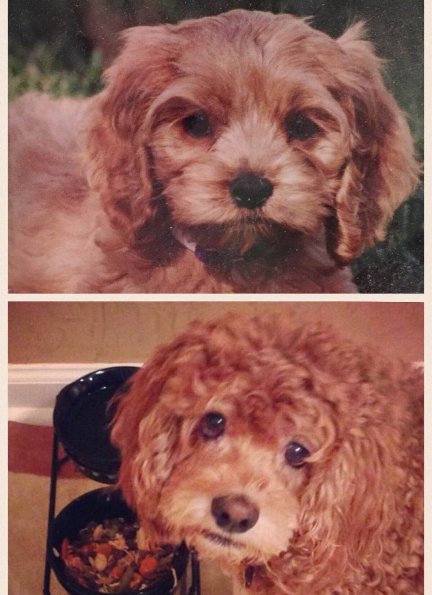 Kaia, 11 Years Apart