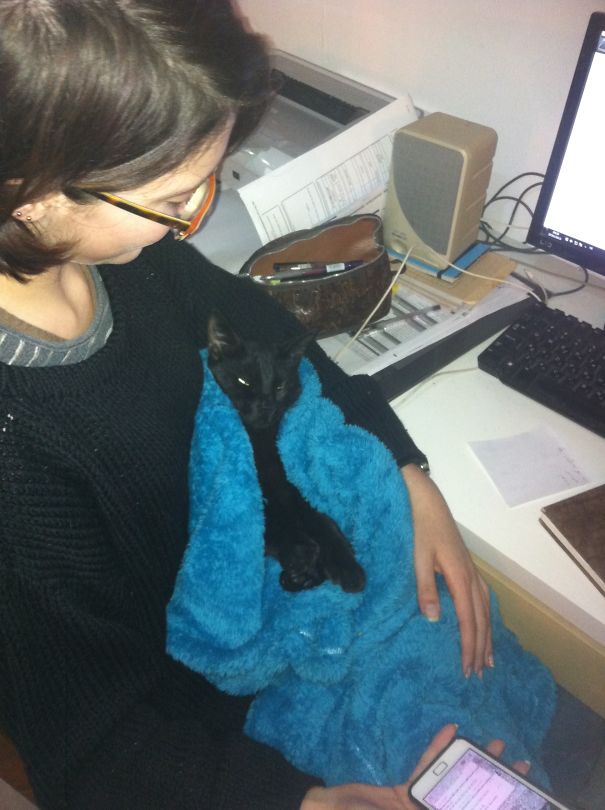 Such A Spoiled... Cat