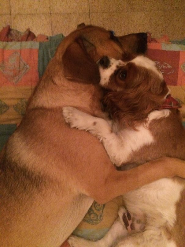 It’s More Than A Friendship… It’s A Brotherhood. ( Leo & Jingle)