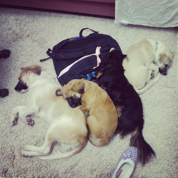 4 Is Better Together