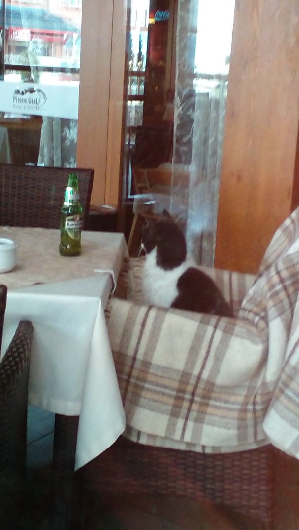 Starting The Day With A Beer