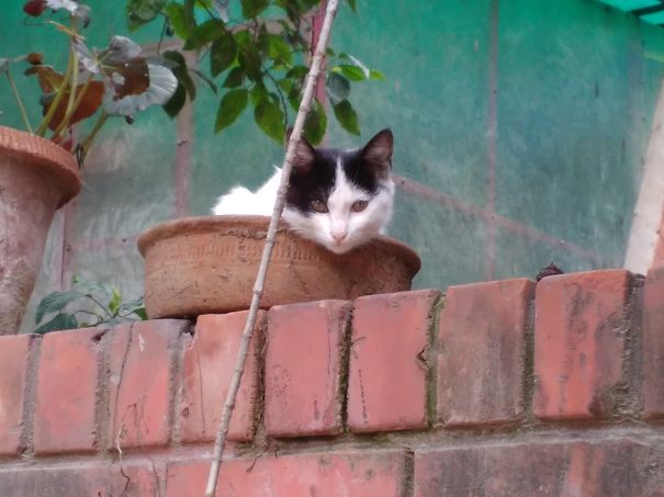 Yes I Do Reside Here!!!