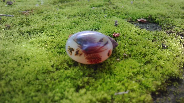 Beautiful mineral stone on green moss, showcasing intricate natural patterns.