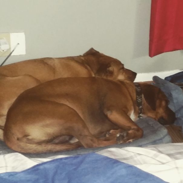 He Just Got Done With Surgery And She Wouldn't Leave His Side