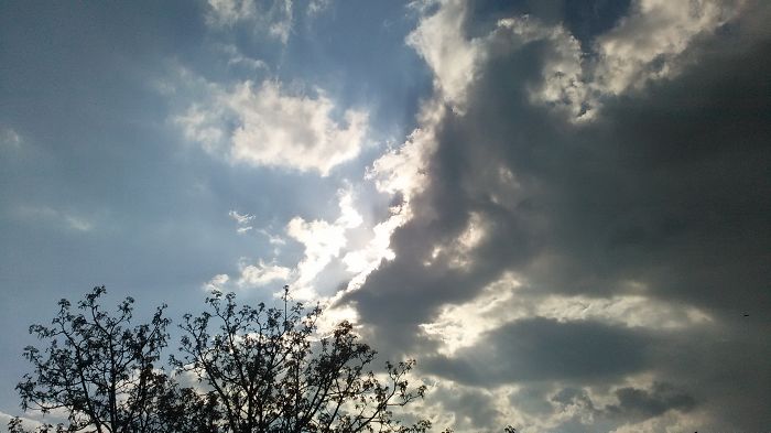 The Jumping Man And The Wave