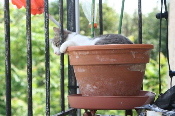 Very Great Views ! I See Everything ...