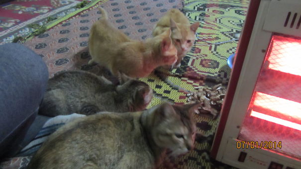 Rush For The Heater.........