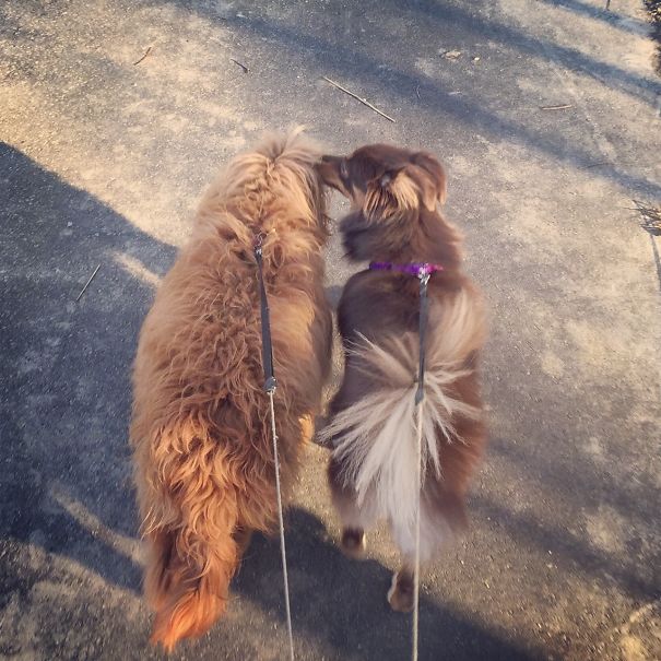 Wanna Know A Secret?