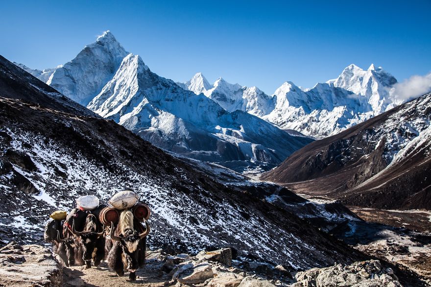 I'm Helping Nepal By Selling My Photos Of The Himalayas And Donating The Money I'm Helping Nepal By Selling My Photos Of The Himalayas And Donating The Money
