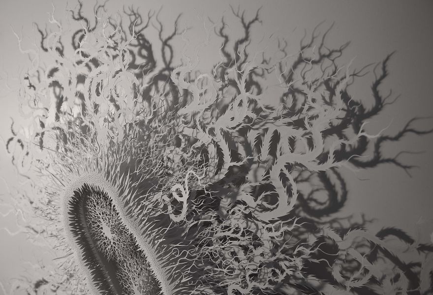 I Spent 4 Months Hand-Cutting A Paper Microbe