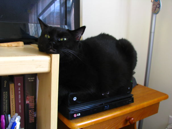 Wu On The Time Warner Cable Oven