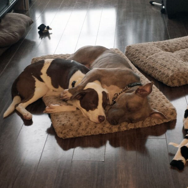 Who Needs A Second Bed...