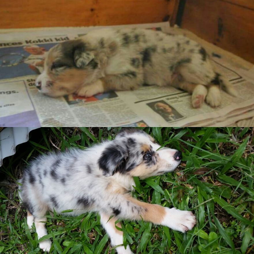 3 Weeks - 3 Months :)