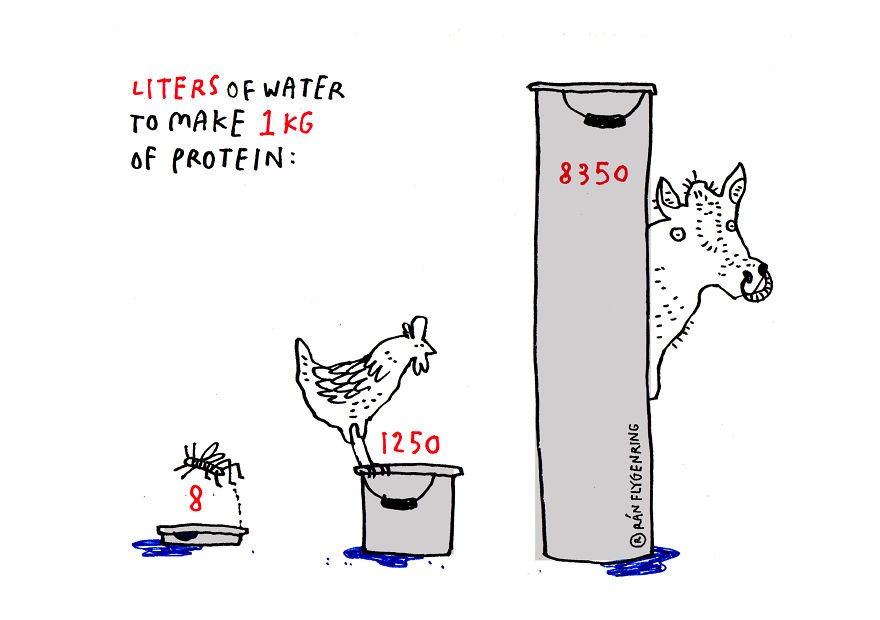 Jungle Bar: On A Mission To Normalize Edible Insects! Jungle Bar: On A Mission To Normalize Edible Insects!