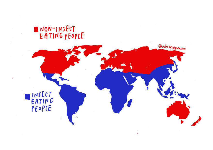 Jungle Bar: On A Mission To Normalize Edible Insects! Jungle Bar: On A Mission To Normalize Edible Insects!