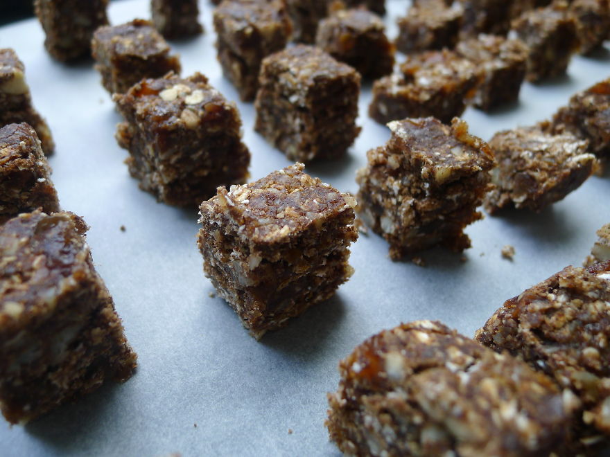 Jungle Bar: On A Mission To Normalize Edible Insects!