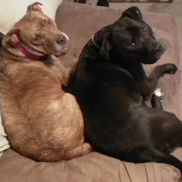 What Do You Want Now, Dad?