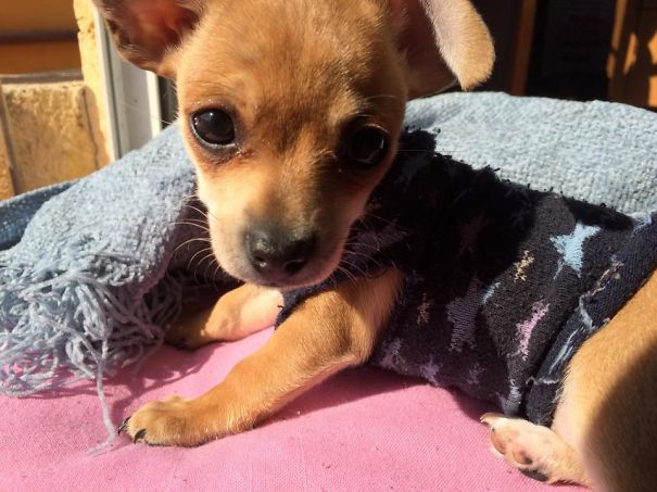 Baby Kora Loves Take Sunbath