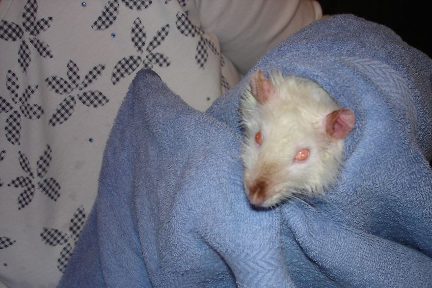 Lavender - I'm Not Sure About This Getting Wet Business