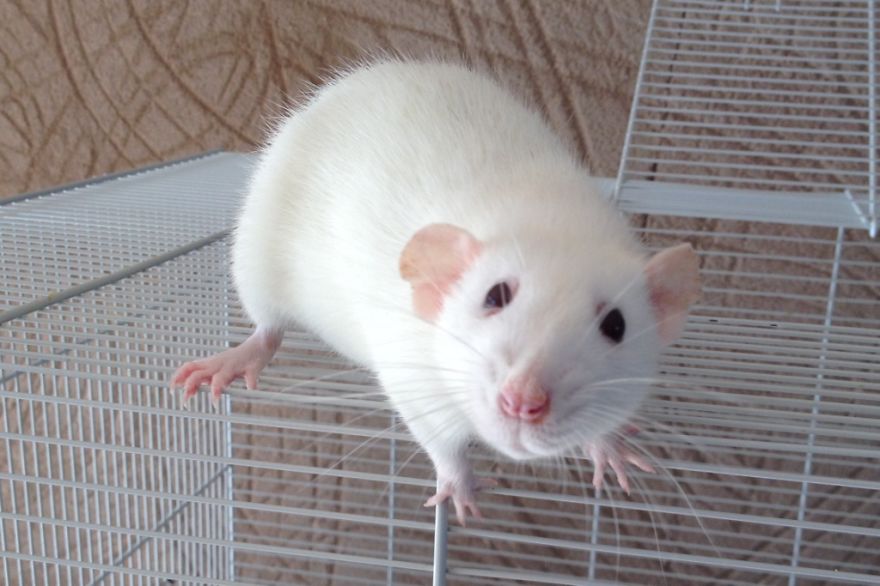 Lily - What Do You Have?