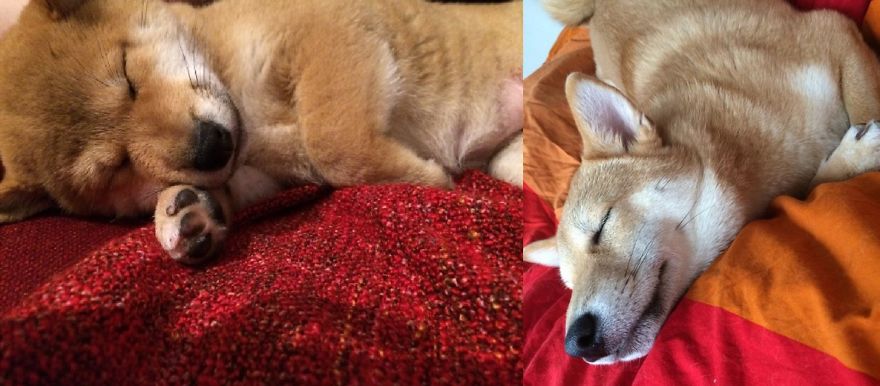 6 Months Later..still Sleepy