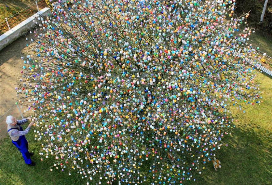 This German Family Spent More Than 2 Weeks Decorating A Tree With 10,000 Painted Eggs This German Family Spent More Than 2 Weeks Decorating A Tree With 10,000 Painted Eggs
