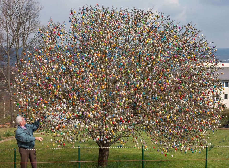 This German Family Spent More Than 2 Weeks Decorating A Tree With 10,000 Painted Eggs This German Family Spent More Than 2 Weeks Decorating A Tree With 10,000 Painted Eggs